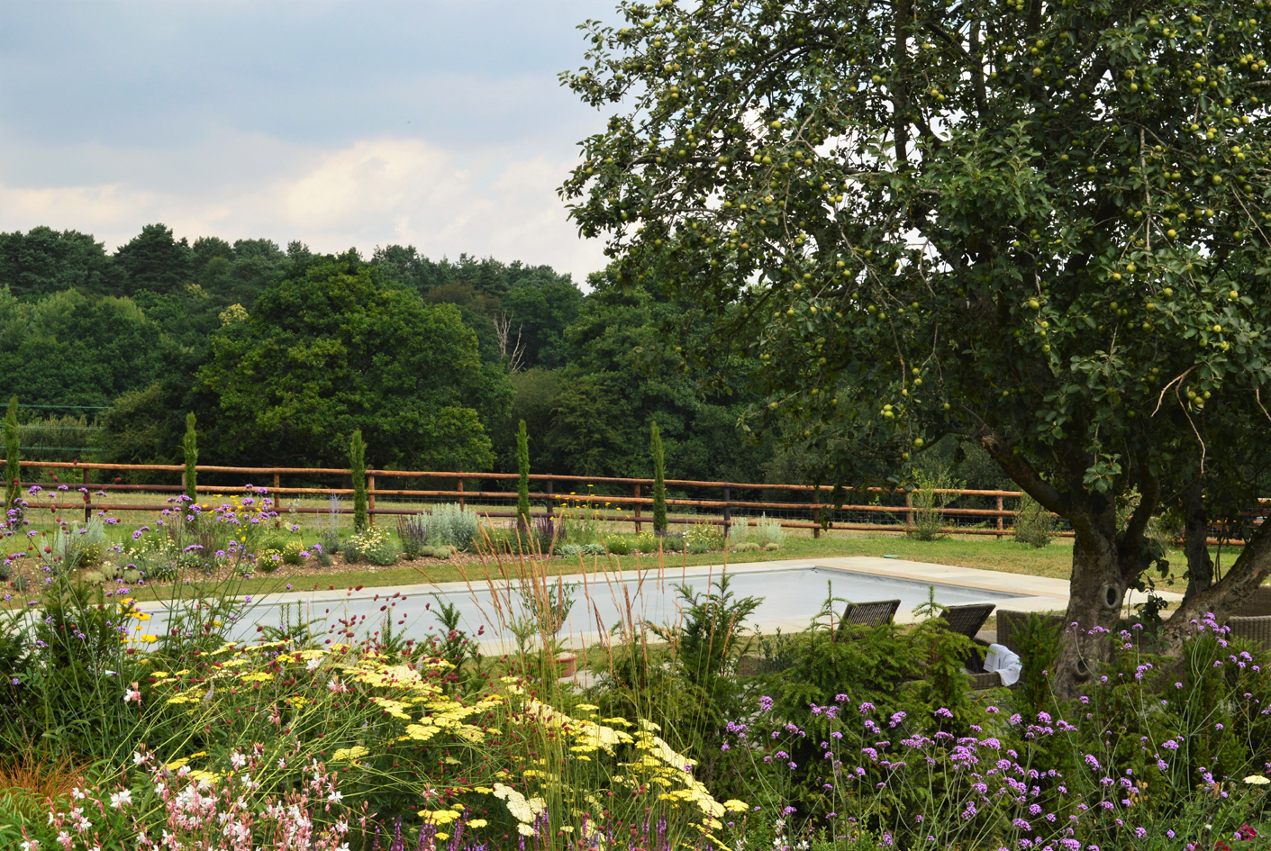 Swimming pool garden design, Cupressus sempervirens