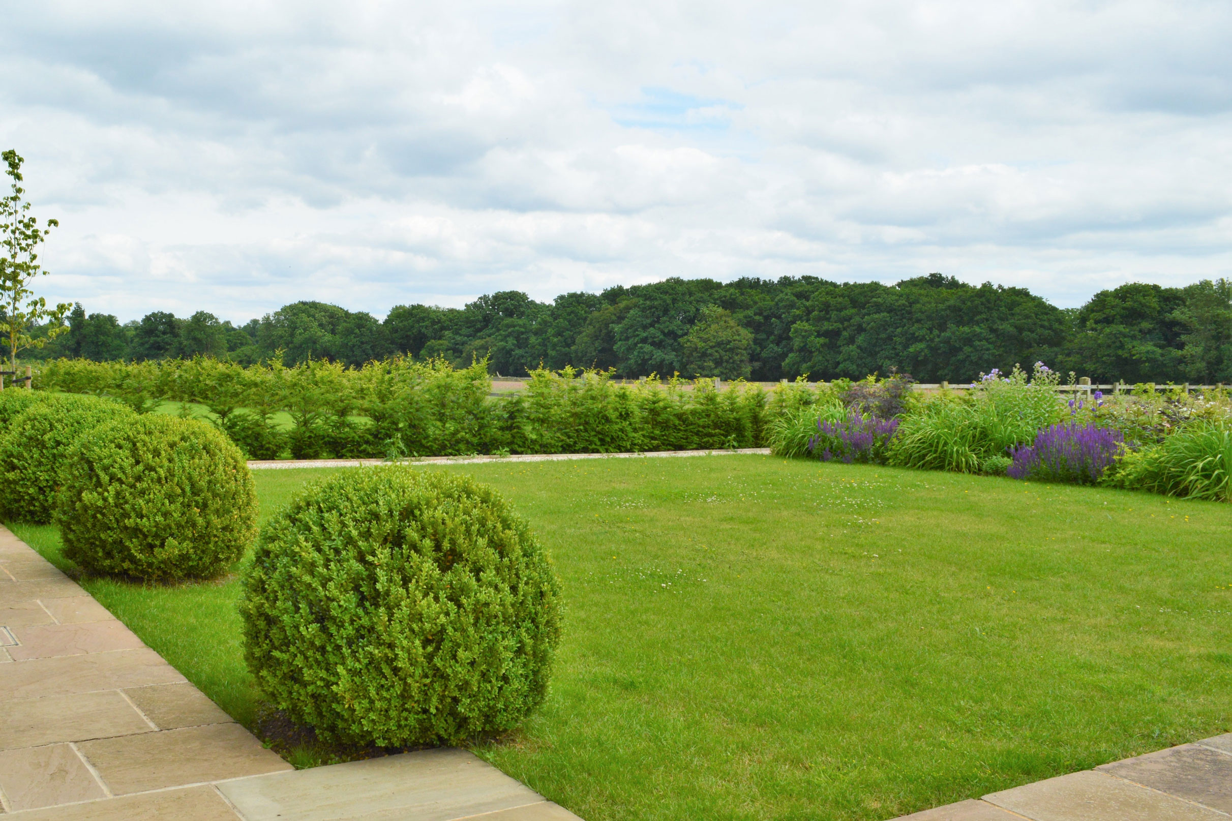 Garden design with Box Balls