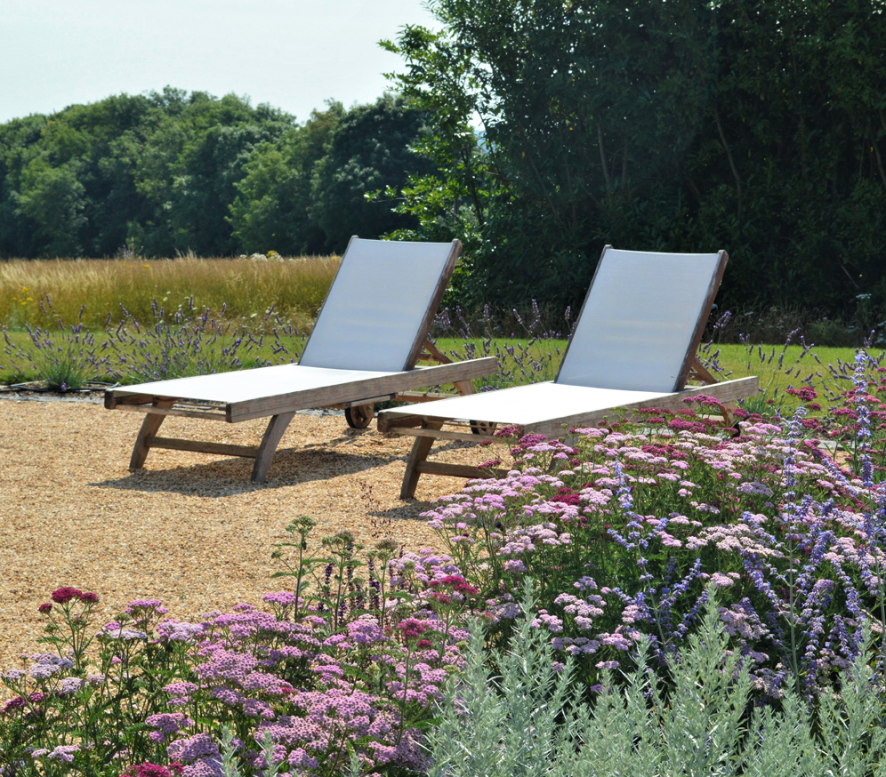 Achillea 'Cerise Queen', sun terrace design