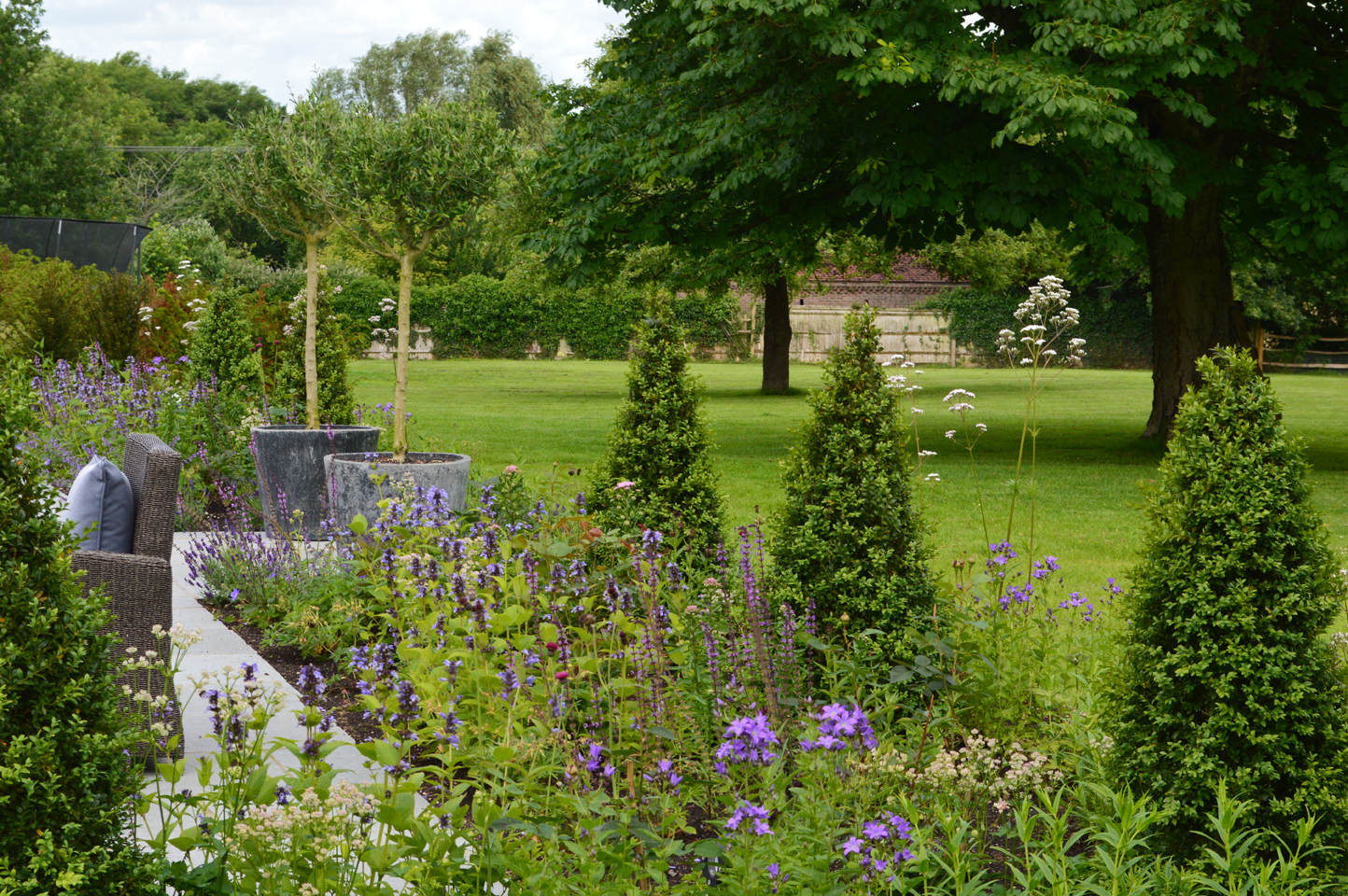 Garden design with yew cones