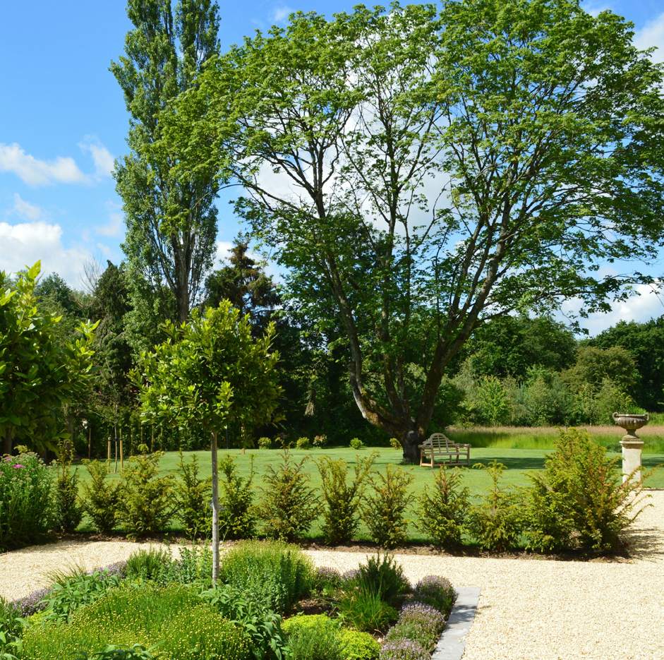 Formal herb garden design