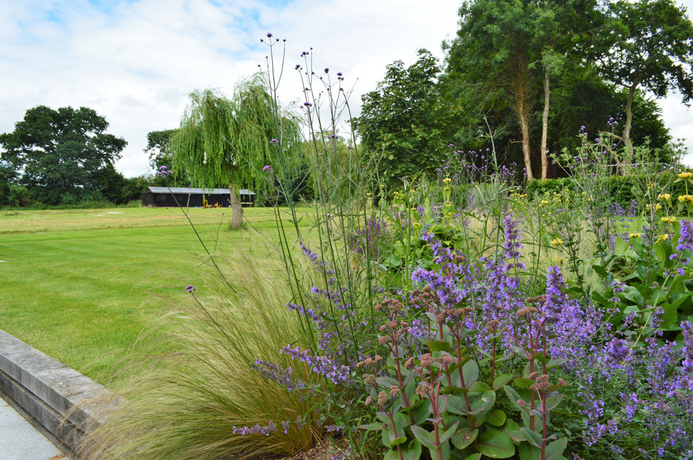 Garden design with Stipa tenuissima, Sedum matrona and Nepeta 'Walker's Low'